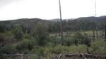 photo thumbnail #14