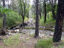 photo thumbnail #3