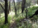 photo thumbnail #5