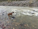 photo thumbnail #1