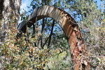 photo thumbnail #6