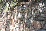 photo thumbnail #11