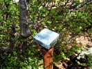 photo thumbnail #9
