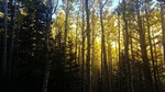 photo thumbnail #12
