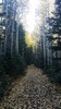 photo thumbnail #14