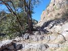 photo thumbnail #8