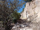 photo thumbnail #13