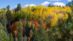 photo thumbnail #14
