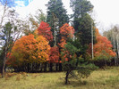photo thumbnail #9