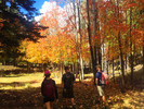 photo thumbnail #14
