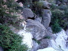 photo thumbnail #7