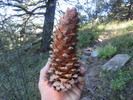 photo thumbnail #6