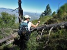 photo thumbnail #8