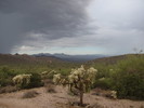 photo thumbnail #6