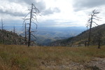 photo thumbnail #1