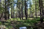 photo thumbnail #7