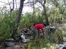 photo thumbnail #9