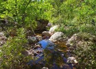 photo thumbnail #7