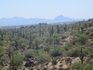 photo thumbnail #9