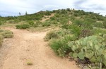 photo thumbnail #13