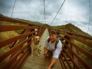photo thumbnail #7