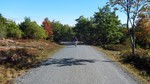photo thumbnail #1