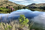 photo thumbnail #2