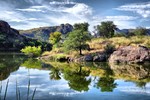 photo thumbnail #11