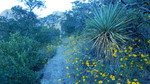 photo thumbnail #3