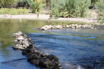 photo thumbnail #1