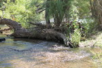 photo thumbnail #9