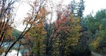 photo thumbnail #8
