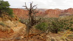 photo thumbnail #13