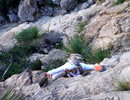 photo thumbnail #7