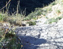 photo thumbnail #11