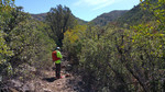 photo thumbnail #6