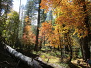 photo thumbnail #3