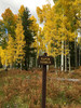 photo thumbnail #13