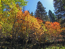 photo thumbnail #6