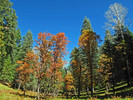 photo thumbnail #8