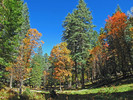 photo thumbnail #11