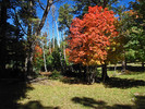 photo thumbnail #2