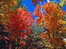 photo thumbnail #12