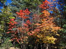 photo thumbnail #14