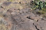 photo thumbnail #15