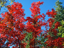 photo thumbnail #9