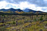 photo thumbnail #6