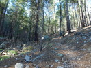 photo thumbnail #2