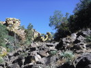 photo thumbnail #2