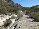 photo thumbnail #10